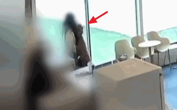 대형견과 충돌해 골절 진단을 받은 여성이 애견호텔 측에 사과와 조치를 요구했지만, 호텔 측은 사고 책임이 없다고 주장하고 있다. 사진은 대형견과 충돌하는 여성의 모습. /사진=JTBC '사건반장' 캡처