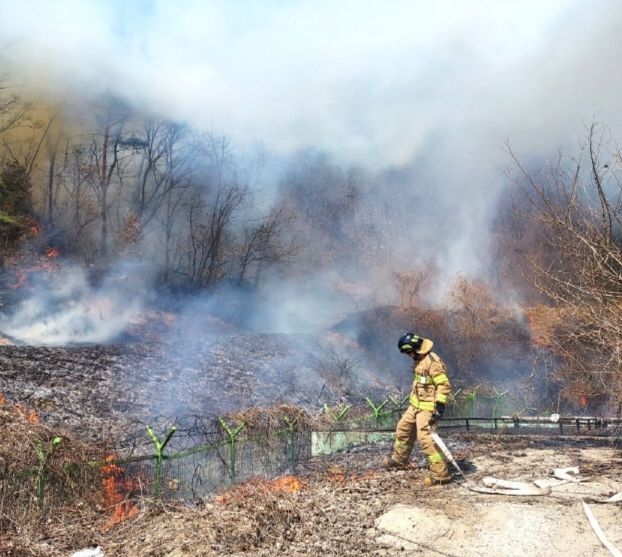 22일 오후 1시 52분께 전북자치도 진안군 안천정수장 뒤편 야산에서 산불이 발생, 소방대원이 화재 진화를 하고 있다. /사진=뉴스1(전북소방본부 제공)