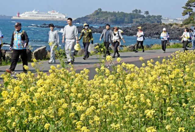 20도 안팎에 봄 날씨를 보인 22일 오전 제주 서귀포시 법환동 두머니물 공원에서 제27회 서귀포 유채꽃 국제걷기대회 참가자들이 코스를 걷고 있다. /사진=뉴시스