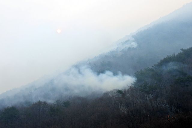 경남 산청군에서 발생한 산불의 연기와 연무로 인해 산불진화헬기 투입에도 차질이 생겼다. 사진은 23일 오전 경남 산청군 시천면 일대가 흰 연기로 뒤덮여 있는 모습. /사진=뉴시스