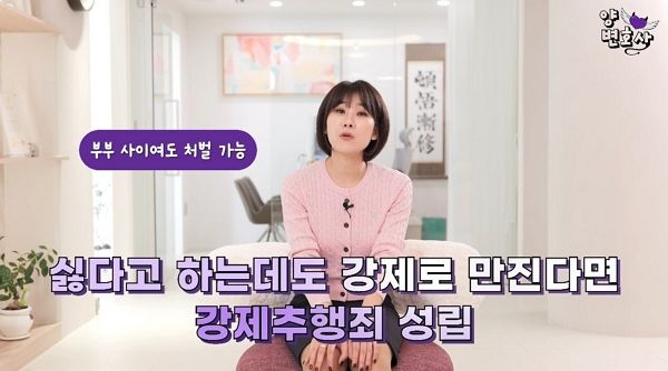 사진은 이혼 전문 양나래 변호사가 '부부 사이 처벌'에 관해 설명하는 모습. /사진=유튜브 채널 '양나래 변호사' 캡처