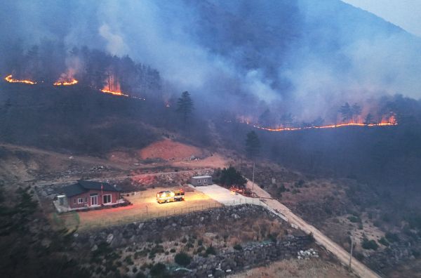 전국 곳곳에서 발생한 산불을 둘러싼 음모론이 확산하고 있다. 사진은 기사의 이해를 돕기 위한 경남 산청군에서 발생한 대형 산불이 4일째로 접어든 24일 오전 산청군 단성면 산기슭에 산불이 이어지고 있는 모습. /사진=뉴시스
