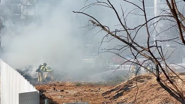 초등학생 2명이 마시멜로를 구워먹기 위해 공원 잔디에 불을 붙였다가 큰 화재로 번졌다. 사진은 지난 22일 오후 3시3분쯤 서울 강남구 개포초등학교 옆 공원에서 발생한 화재 모습. /사진=머니투데이(강남소방서 제공)