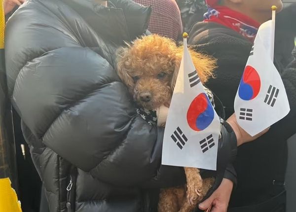 사진은 지난 7일 오후 경기 의왕시 서울구치소 앞에서 반려견 '토비'가 견주의 품에 안겨 있는 모습. /사진=뉴스1