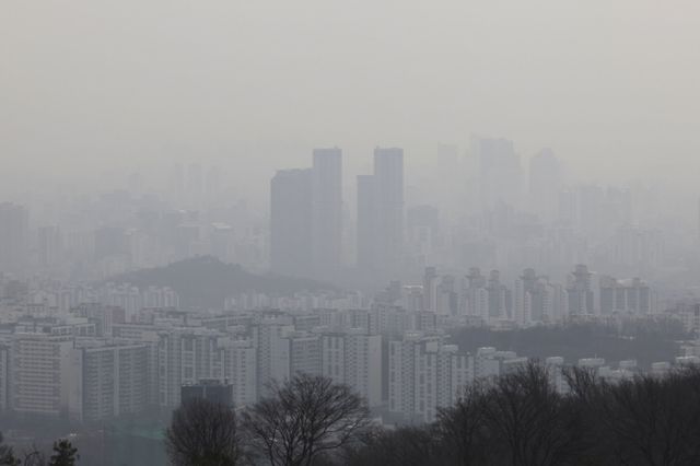 25일 전국에 강한 바람이 불고 미세먼지가 '나쁨'을 기록할 것으로 보인다. 사진은 지난 24일 서울 남산타워전망대에서 바라본 모습. /사진=뉴시스