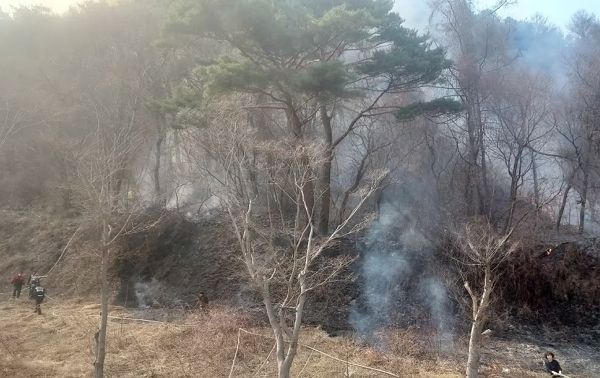 전북 진안군 야산서 발생한 불을 끄던 70대 산불진화대원 2명이 경상을 입었다. 사진은 전북 진안군 야산서 발생한 불. /사진=뉴스1(전북자치도소방본부 제공)