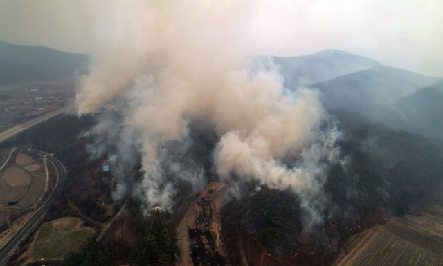 경북 안동 산불이 청송까지 번지면서 경북북부교도소 재소자들이 대피 작업을 시작했다. 사진은 지난 24일 경북 의성군에서 번지고 있는 산불. /사진=뉴스1