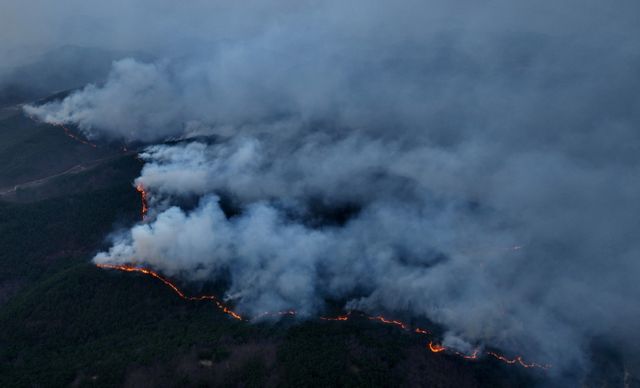 25일 오전 행정안전부가 산불대응 중대본 4차 회의를 열었다. 사진은 경북 의성군 안평면 신원리 한 야산의 산불이 번지는 모습./사진=뉴시스