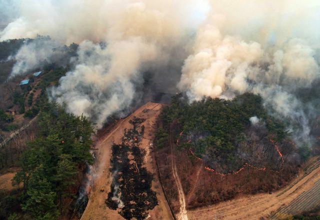 한국토요타가 경상도 지역에서 발생한 산불로 피해를 입은 주민과 지역사회를 돕기 위해 1억원을 기부한다. 사진은 경북 의성군에서 산불이 번지는 모습./사진=뉴스1