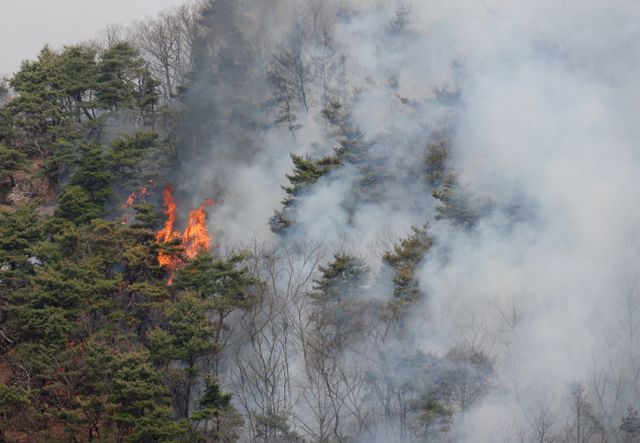 25일 강원 동해안과 산지에 강풍을 동반한 건조한 날씨가 이어지자 산불 위험도 높아지고 있다. 사진은 경북 의성군 일대 야산에 화재가 일어난 모습. /사진=뉴스1