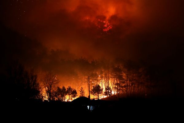 경북 의성군에서 시작한 산불이 각각 청송과 안동으로 번지면서 교도소에도 대피령이 내려졌다. 사진은 지난 25일 오후 어둠이 내린 경북 안동시 남후면 광음리 뒷산에 민가를 삼키려는 화마처럼 산불이 확산하는 모습. /사진=뉴스1