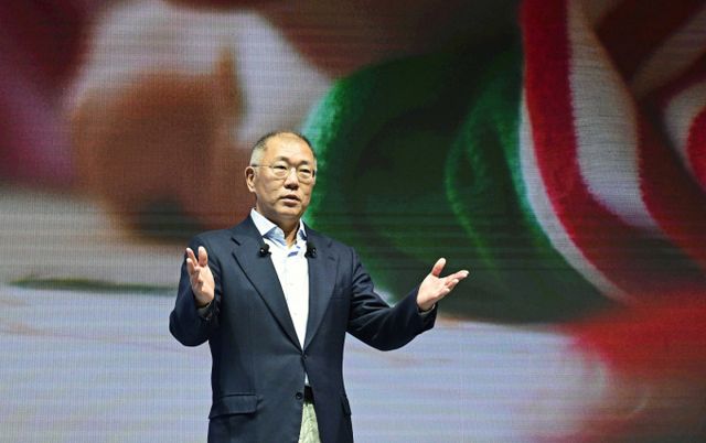 정의선 현대차그룹 회장이 2028년까지 미국에서 미래산업 등 대규모 투자를 진행한다. /사진=현대차그룹