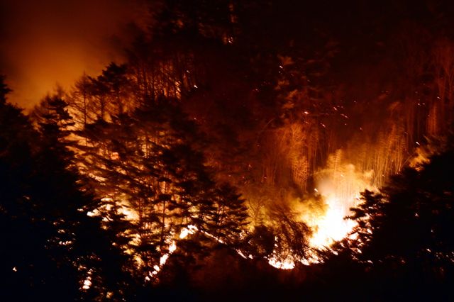 전국적으로 발생한 산불의 대부분은 인위적인 발화가 원인이 된 것으로 추정된다. 사진은 지난 24일 경북 산청군에서 발생한 대형산불. /사진=뉴시스
