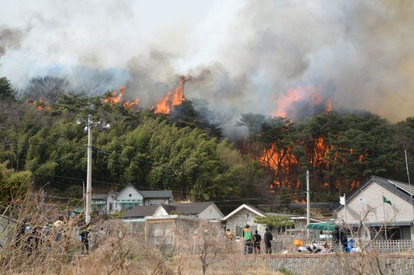 울산시 울주군 화장산에서 불이 나 산불 대응 1단계가 발령됐다. 사진은 25일 오후 울산시 울주군 언양읍 화장산 일원에서 원인 미상의 화재가 발생해 불꽃과 연기가 올라오고 있는 모습. /사진=뉴시스
