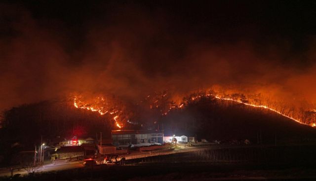 경북 의성과 안동, 청송, 영양, 영덕 등에서 발생한 산불 진화율이 23.5%로 나타났다. 사진은 지난 26일 밤 경북 의성군 옥산면 신계2리 기룡산에서 민가 방향으로 산불이 번진 모습. /사진=뉴시스