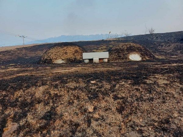 산불로 인해 조부모 산소가 타버렸다는 누리꾼 사연에 위로가 전해지고 있다. 사진은 산불로 인해 타버린 한 누리꾼 조부모 산소의 모습. /사진=온라인 커뮤니티 캡처