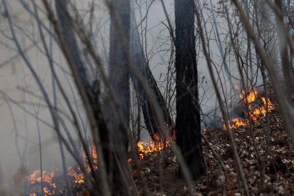 경북 의성에서 번진 산불 진화에 투입됐다 귀가하던 중 실종됐던 60대 산불감시원이 숨진 채 발견됐다. 사진은 27일 경북 의성군 비안면 일대 야산에서 산불이 발생한 모습. /사진=뉴스1