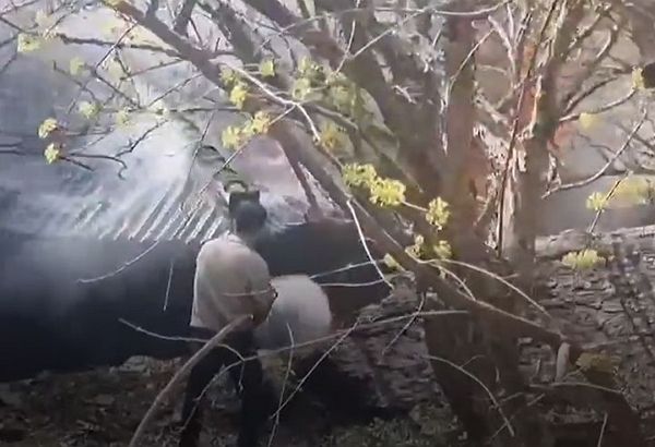 한 소방관이 비번인 날 여행지에서 큰 화재로 번질뻔한 불을 진화했다. 사진은 가족 여행 중 주택 화재 진압에 나선 부산 소방관의 모습. /사진=뉴시스(부산소방재난본부 제공)