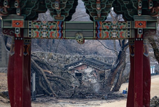 경북 의성에서 발생한 산불이 안동과 청송 등 경북 주요 문화재와 관광명소를 삼켜버렸다. 사진은 27일 국가지정 문화유산 보물로 지정된 경북 의성군 고운사에 화마가 휩쓸고 간 흔적. /사진=뉴스1