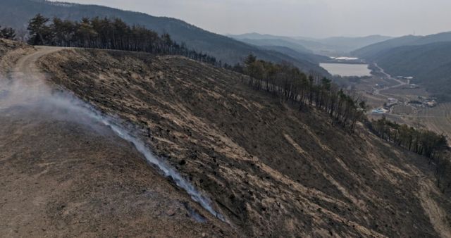 산림청 등 당국이 산불 발생 8일째에 접어든 경북 인근 지역에 대한 진화 작업을 다시 시작한다. 사진은 지난 27일 경북 의성군 기룡산 일대가 산불로 타버린 모습. /사진=뉴시스