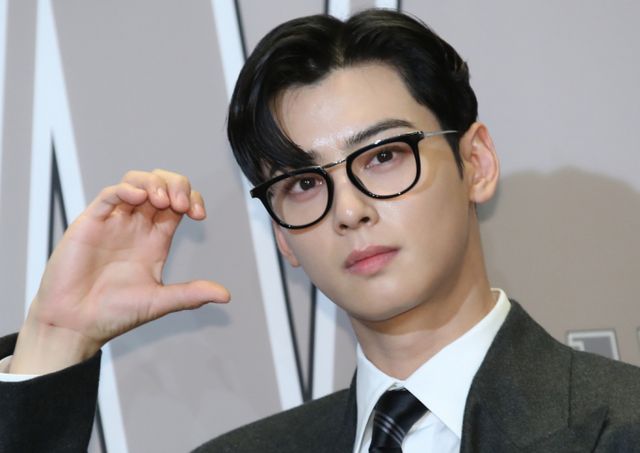  차은우가 대한적십자사를 통해 산불 피해 지원 성금 1억원을 기부했다. 사진은 지난해 1월14일 차은우가 서울 광화문 한 호텔에서 열린 자선행사에 참석한 모습. /사진=뉴스1