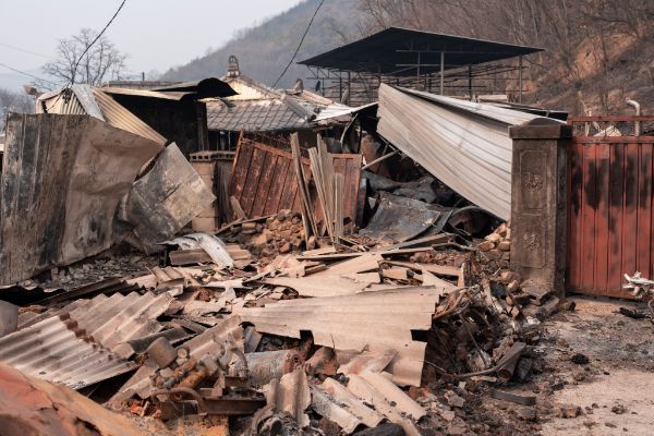 산불이 휩쓴 경북 영덕에서 한 주민이 얼굴을 물에 적시면서 1시간을 기어가 대피한 것으로 전해졌다. 사진은 경북 의성 산불로 주택이 전소된 모습. /사진=뉴시스