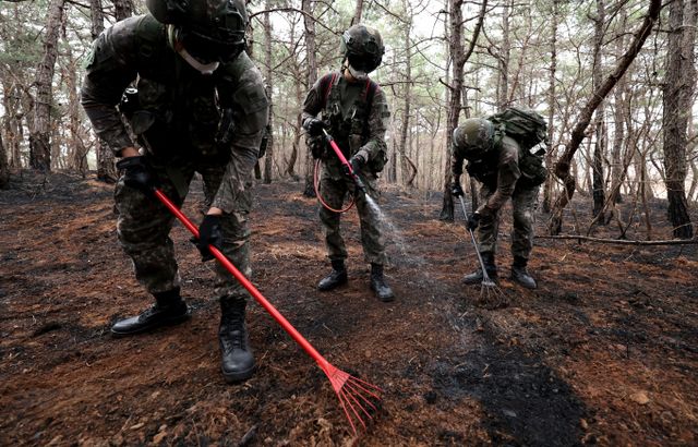 경북 의성군 등 북동부 5개 시·군을 휩쓴 역대 최악의 산불을 일으킨 혐의를 받는 용의자가 다음주 소환 조사를 받는다. 사진은 28일 경북 의성군 단촌면 방하리 산불 현장에 50사단과 2신속대응사단 장병들이 잔불 진화 지원작전에 나선 모습. /사진=뉴시스