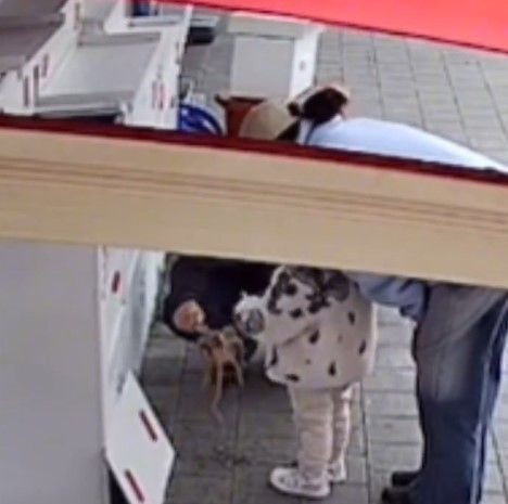 부산의 한 횟집에서 부모로 보이는 남녀가 가게 수조에서 낙지와 주꾸미를 꺼내 아이에게 보여주는 영상이 공개됐다. 사진은 부모로 보이는 남녀가 횟집에서 낙지를 꺼내 아이에게 보여주는 영상. /사진=인스타그램 캡처(뉴스1)