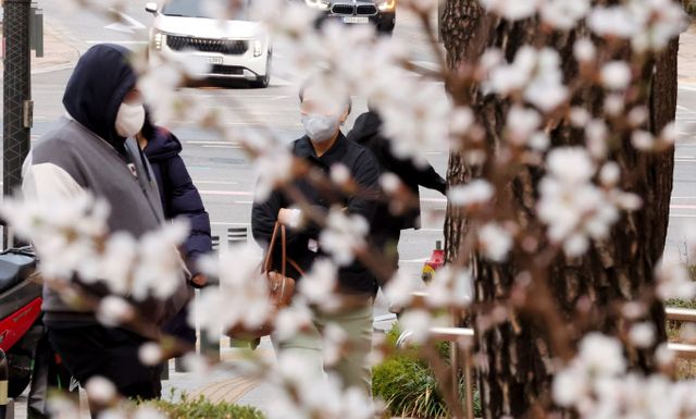 30일 일요일, 전국에 강한 바람과 함께 쌀쌀한 날씨가 이어질 전망이다. 사진은 다시 꽃샘추위가 찾아온 지난 28일 서울 도심에서 앵도나무 꽃 뒤로 시민들이 발걸음을 재촉하고 있는 모습. /사진=뉴시스