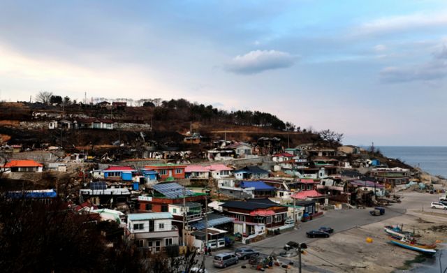 경남·경북 산불 사태를 계기로 주민 대피 체계의 허점이 드러나 개선이 시급하다는 의견이 나온다. 사진은 지난 29일 경북 영덕군 영덕읍 노물리 마을이 산불로 전소돼 폐허가 된 모습. /사진=뉴시스