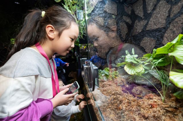 앞으로 서울 초·중·고등학교에서 '개구리 해부' 실습이 사라질 예정이다. 사진은 롯데월드 아쿠아리움에서 개구리를 관람하는 어린이. /사진=뉴시스