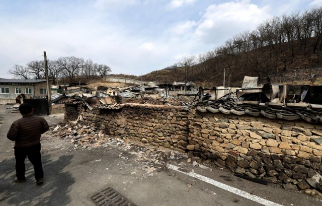  29일 경북 안동시 임하면 추목리 한 주택이 산불로 전소돼 있다./사진=뉴시스 