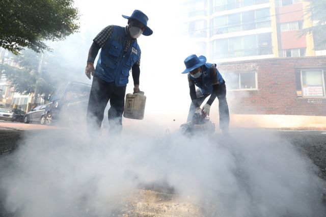 전남에서 올해 첫 일본뇌염 모기가 발견돼 물림 주의가 당부됐다. 사진은 2022년 8월7일 대구 동구 동구보건소 방역반 관계자들이 한 주택가에서 방역작업을 하는 모습. /사진=뉴스1