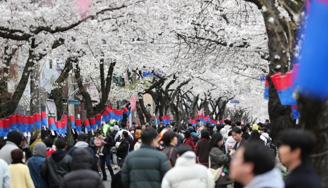 지난해 제주를 찾은 외국인 관광객 10명 중 9명은 개별여행객인 것으로 조사됐다. 사진은 지난 29일 제주시 삼도일동 거리에 많은 관광객이 자리하고 있는 모습. /사진=뉴시스 