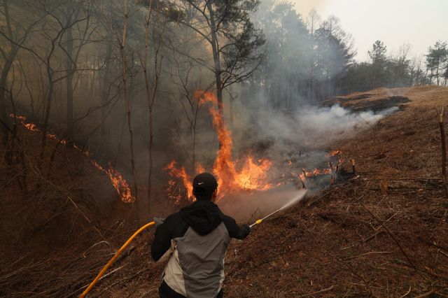 최근 완진된 경북 지역 대형 산불 진화 과정에서 적지 않은 문제점이 드러났다. 사진은 지난 26일 오후 경북 영양군 입암면 방전리 일대 야산에서 불이나 의용소방대원들이 진화를 하는 모습. /사진=뉴스1