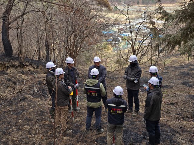 산림청 '산불피해지 긴급진단팀'이 현장을 둘러보고 있다./사진=산림청