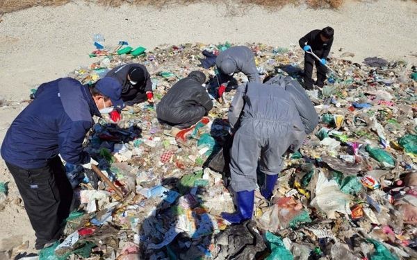 쓰레기 더미서 현금 찾는 세종시 환경미화원들 사진은 쓰레기 더미에서 현금을 찾는 중인 환경미화원들 모습. /사진=뉴스1(세종시 제공)