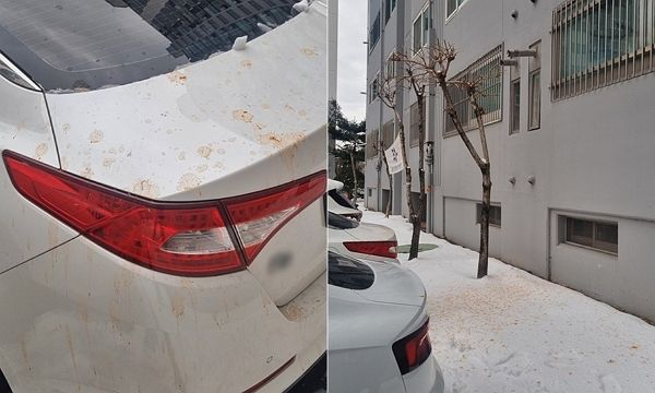  아파트 지상 주차장에 차량을 세워뒀다가 누군가 던진 음식물 쓰레기 때문에 피해를 입은 사연이 전해졌다. 사진은 아파트 지상 주차장에 세워둔 흰색 승용차가 음식물 쓰레기에 오염된 모습. /사진=중고 거래 플랫폼 당근 캡처