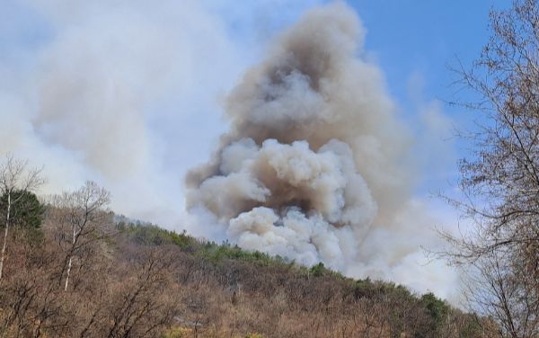 충북 옥천·영동에서 발생한 산불 원인은 '잡초 태우기'로 조사됐다. 사진은 지난달 23일 오전 충북 옥천군 청성면 조천리 야산에서 화재가 발생한 모습. /사진=뉴시스