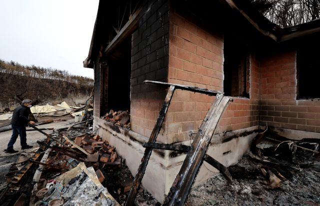 전국적으로 발생한 대형 산불로 피해를 입은 지역의 유·무선 통신망과 유료방송 서비스가 95% 이상 복구됐다. 사진은 1일 경북 청송군 진보면 후평리에서 산불 피해 주민이 전소된 집을 살펴보고 있는 모습. /사진=뉴시스 