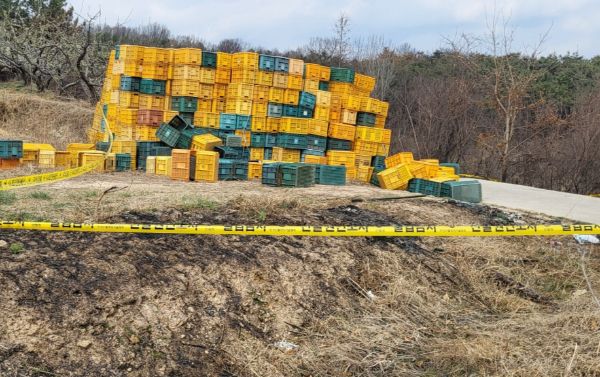 경북 의성군 산불 실화 용의자로 지목된 인물이 억울함을 호소했다. 사진은 경북 의성군 안계면에 있는 한 과수원에 산림 당국의 출입 통제 라인이 설치된 모습. /사진=뉴스1