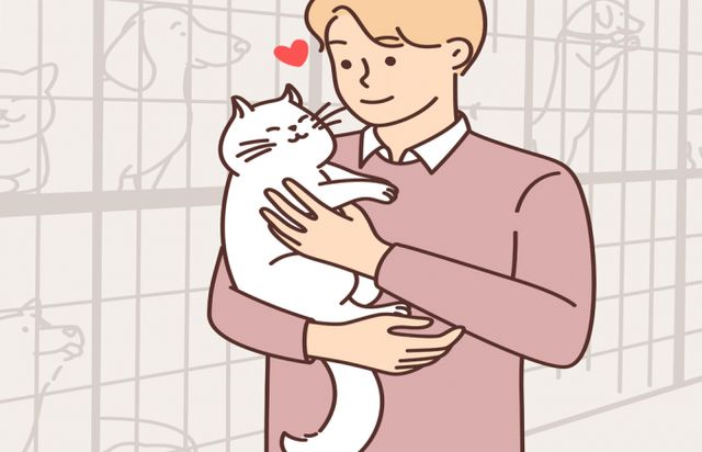 유기묘 보호소를 세운 미국 남성이 화재 속 고양이를 구하다가 숨지는 사고가 발생했다. 사진은 기사내용과 무관함. /사진=이미지투데이