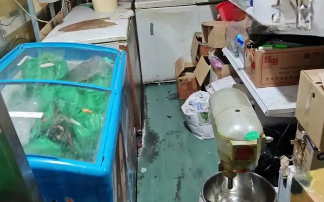 스페인 마드리드 한 중식당에서 비둘기 고기를 오리고기로 속여 판매한 일이 적발됐다. 사진은 스페인 경찰이 위생 상태가 엉망인 스페인 마드리드 중식당을 조사한 모습. /사진=텔레그래프 홈페이지 캡처 