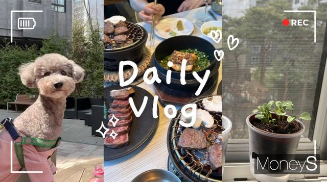 유튜버에게 영상 편집은 빼놓을 수 없는 핵심 작업인데 가격이 비싸고 기능도 복잡한 전문가용 편집 프로그램과 달리 입문자도 사용 가능한 국산 편집 프로그램 곰믹스(GOM Mix)가 눈에 띈다. 사진은 유튜브 섬네일을 제작한 이미지. /사진=김성아 기자