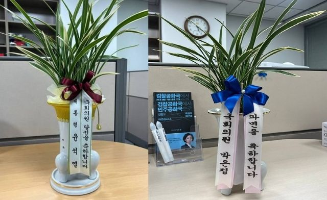 박은정 조국혁신당 의원이 윤석열 전 대통령에게 받은 '축하 난(蘭)'을 '파면 축하 난'으로 꾸민 사진을 공개했다. 사진은 박은정 의원 페이스북 캡처. /사진=SNS 갈무리