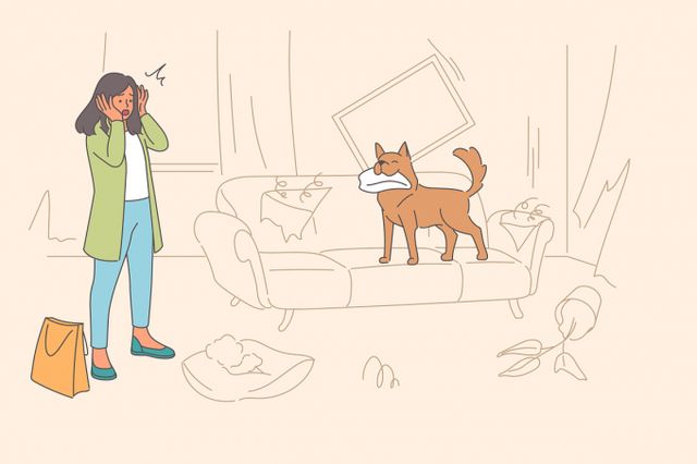 임신을 계획 중인 맞벌이 부부에게 입질하는 개를 떠넘기려는 시댁식구들의 사연이 온라인 커뮤니티를 달궜다. 이미지는 기사와 무관함. /삽화=이미지투데이