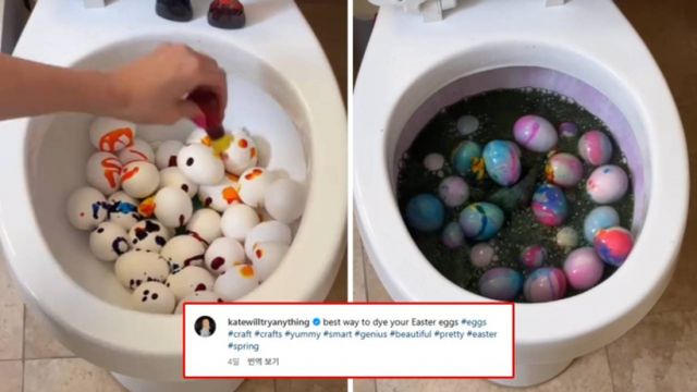 미국의 한 여성이 변기를 이용해 '부활절 달걀'을 염색하는 영상을 올려 뭇매를 맞았다./사진=케이트 파인첼먼 공식 인스타그램