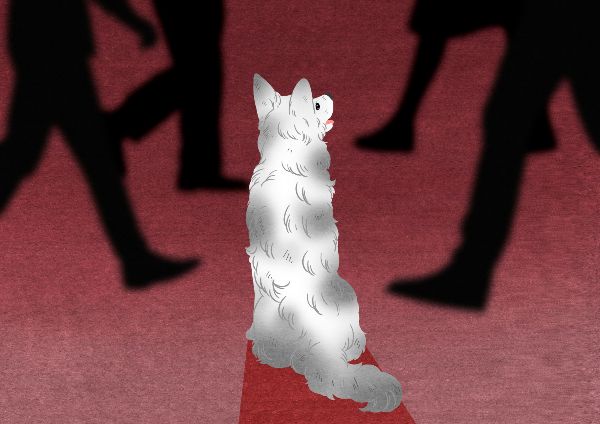 여자친구와 다투던 중 화가 난다는 이유로 강아지를 불에 태워 학대한 남성이 경찰에 체포됐다. 삽화는 기사와 직접적인 관련이 없음. /삽화=이미지투데이