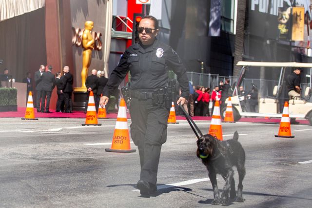 절도범들이 미국 로스앤젤레스 보석상 벽을 뚫고 100만달러(약 14억2850만원) 상당 물건을 훔쳤다. 사진은 미국 로스앤젤레스 경찰 모습. /사진=로이터