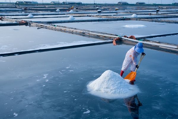 2014년 직원을 폭행하고 6000만원 임금을 체불한 혐의로 구속된 전남 신안군 염전업자 근황이 전해졌다. 사진은 기사의 이해를 돕기 위한 삽화. /삽화=이미지투데이